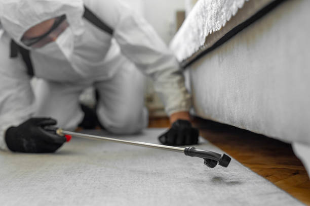 Professional Cockroach Control technician working in Charleston, AR
