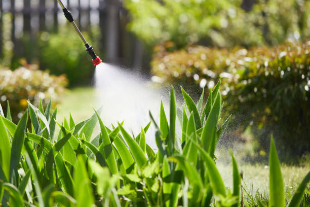 24/7 Emergency Cockroach Control experts in Charleston, AR