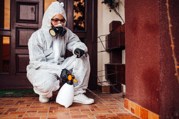 Reliable Cockroach Control contractor in Charleston, AR by Nex Pest Control