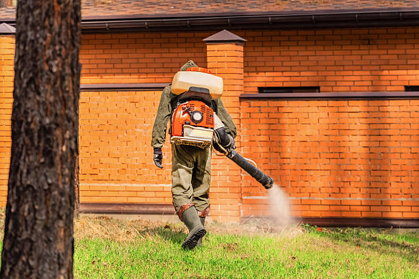 Top rated local Cockroach Control specialists in Charleston, AR